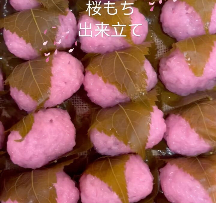 \できたてシリーズ///