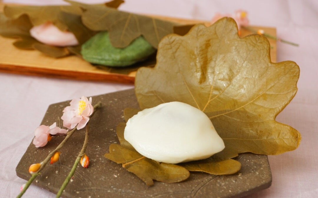 ┊✧✧✧柏餅販売中✧✧✧┊