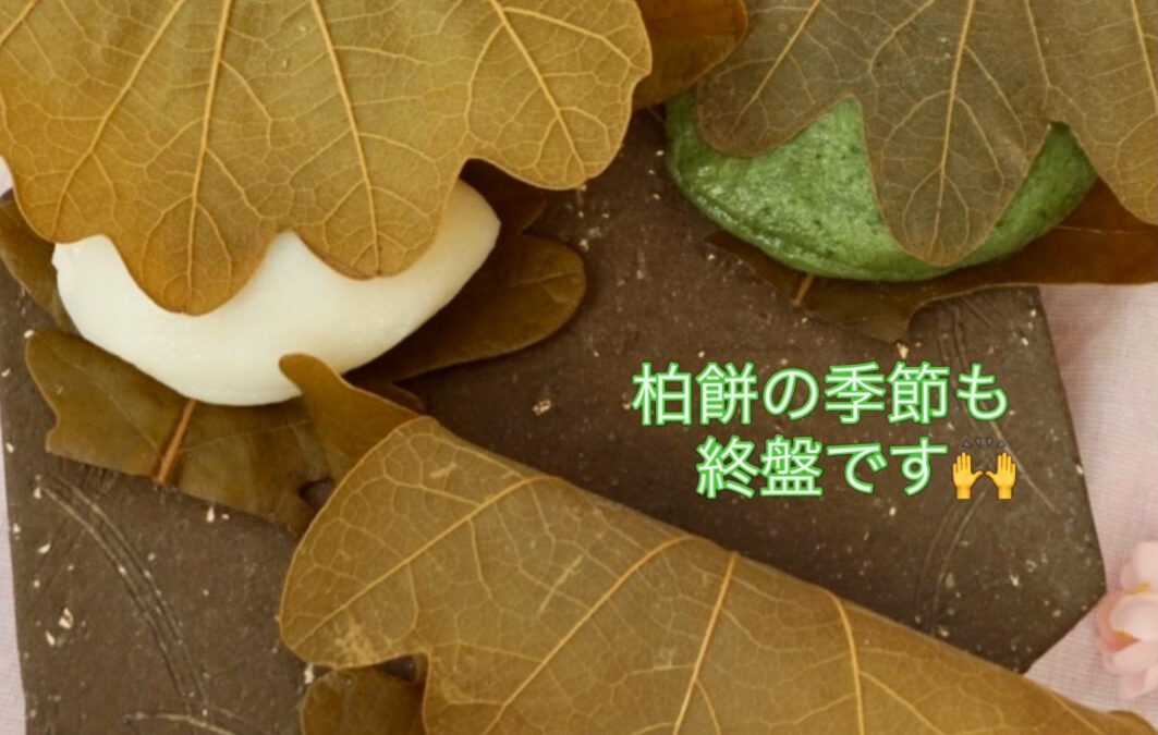 ┊✧✧✧柏餅 まもなく終了です✧✧✧┊