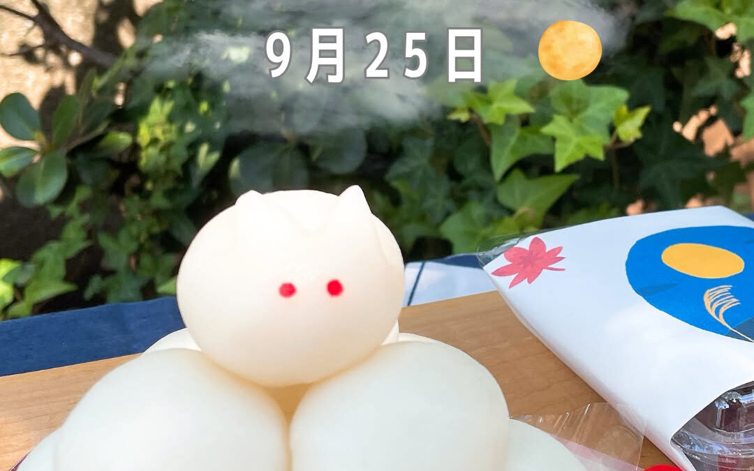 本日、十五夜となります